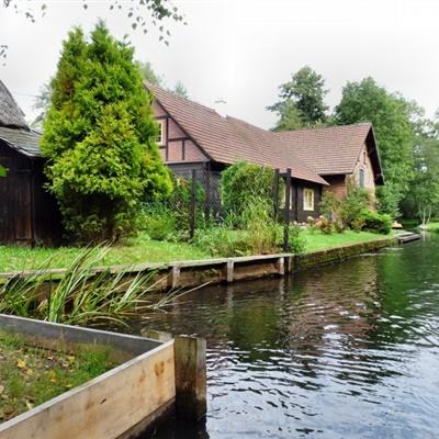 天成彩票手机app下载